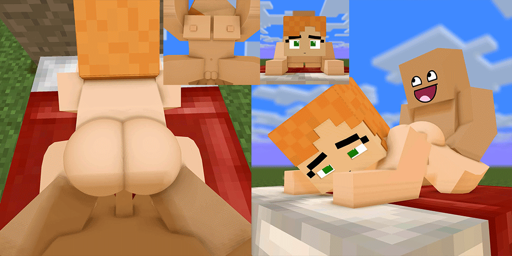 Minecraft sex gifs.